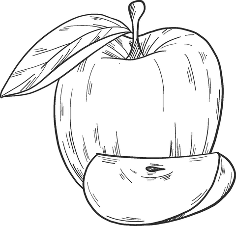 Apple And Apple Slice Coloring Page